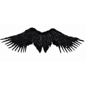 Alas negras de plumas 🖤 – Misterio, poder y sensualidad